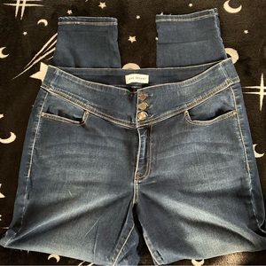 Lane Bryant Jeans